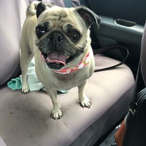 Meet your Posher, Suzette